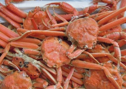 영덕 대게 축제 현장의 포장된 대게