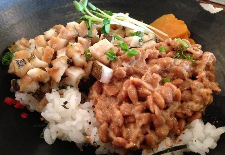 춘천시 디지털온누리상품권 사용처