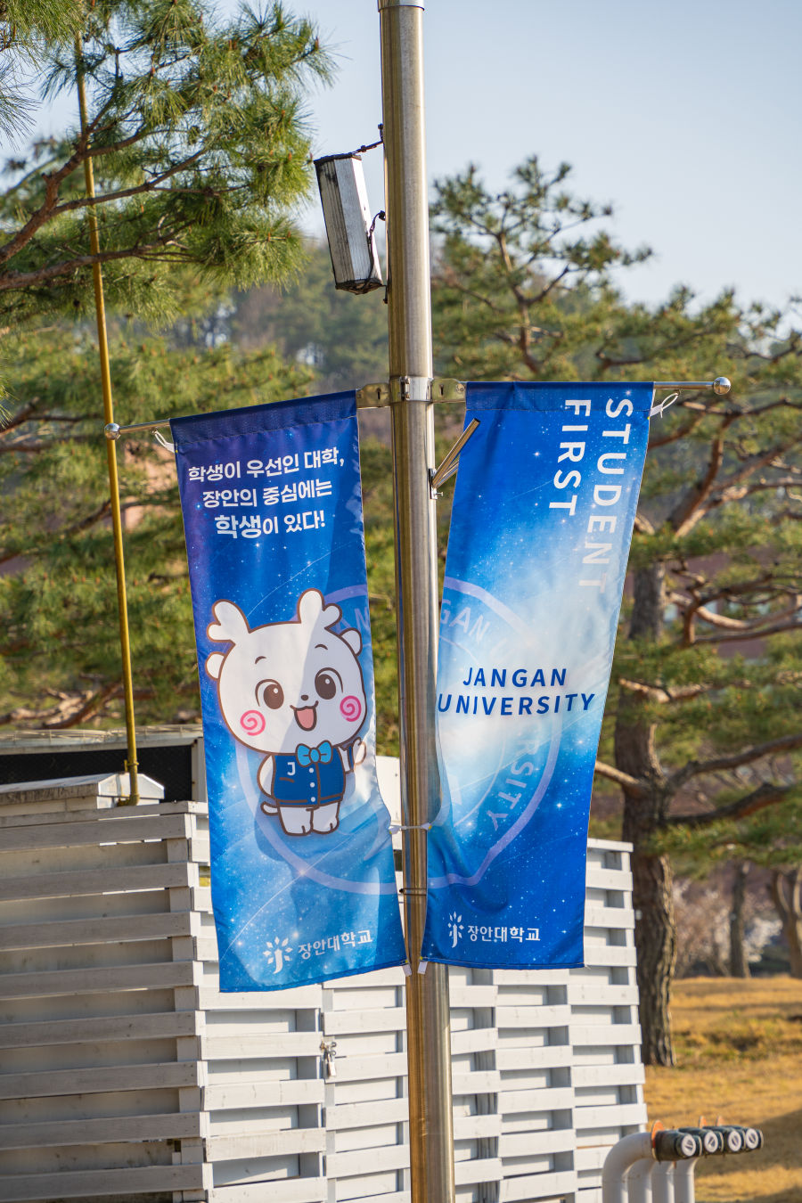 장안대학교 캠퍼스