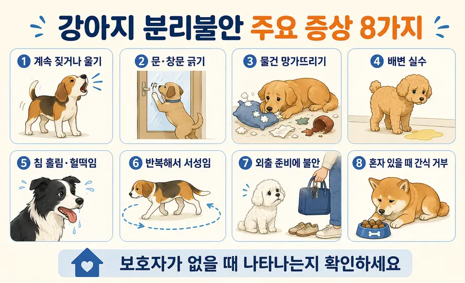 보호자가 없을 때 나타나는 강아지 분리불안 주요 증상 8가지