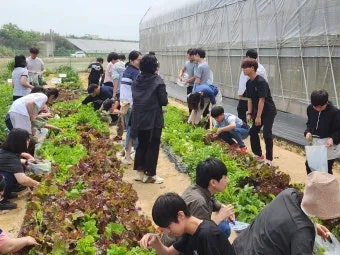 농업 교육 수강 농업기술센터 온라인 강좌 자격증 실습 정보_46