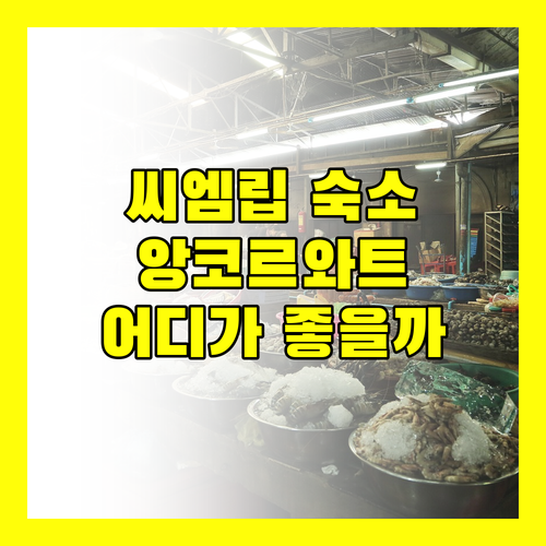 씨엠립 호텔 어디로 갈까? 앙코르와트