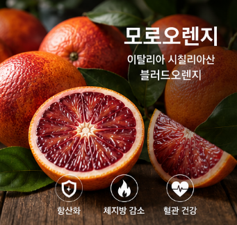 모로오렌지-효능-섭취방법-다이어트-효과-부작용