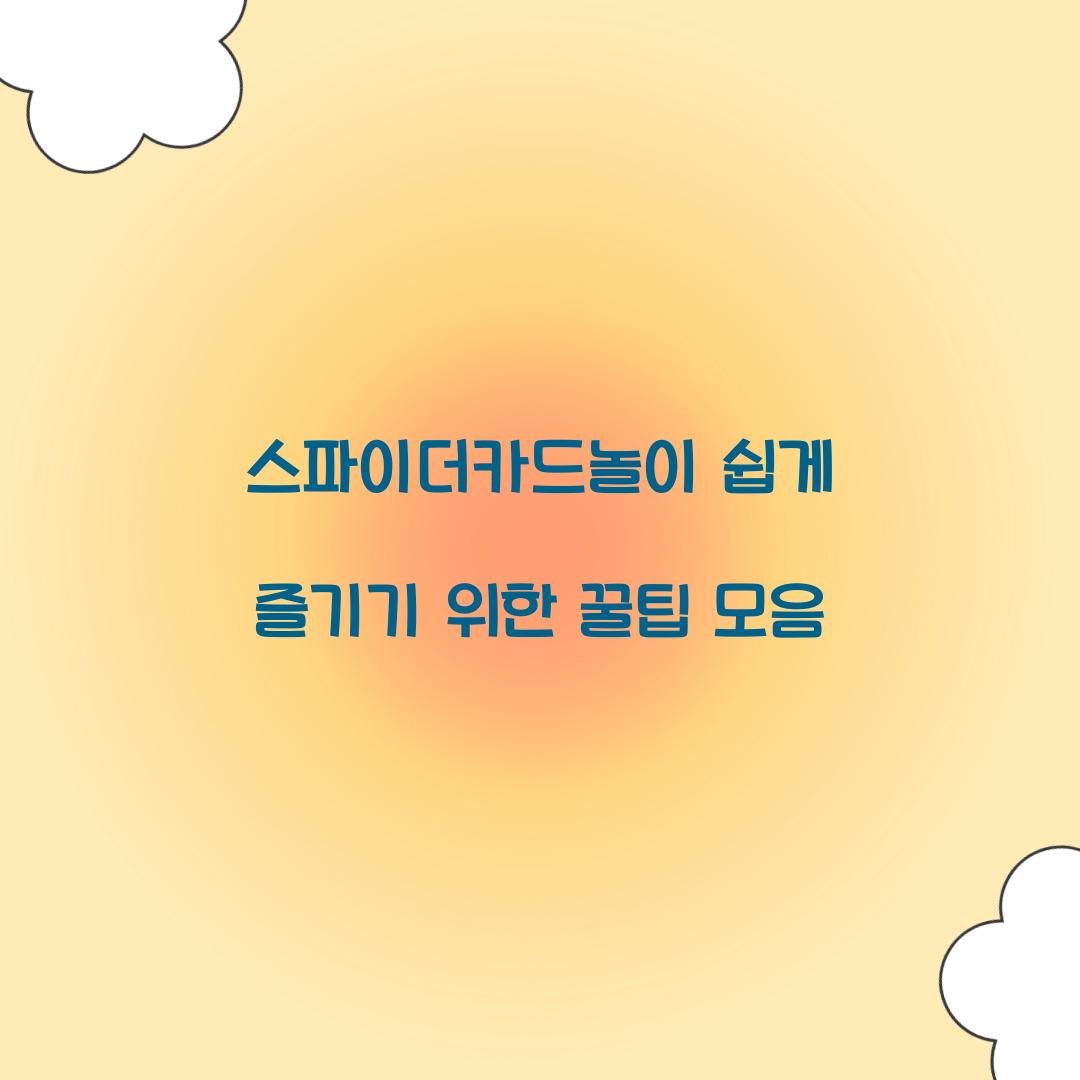 스파이더카드놀이