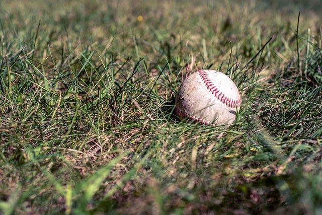 2024년 프로야구 키움 히어로즈 선수 연봉