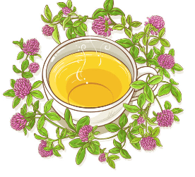 우엉차 효능 10가지 및 부작용