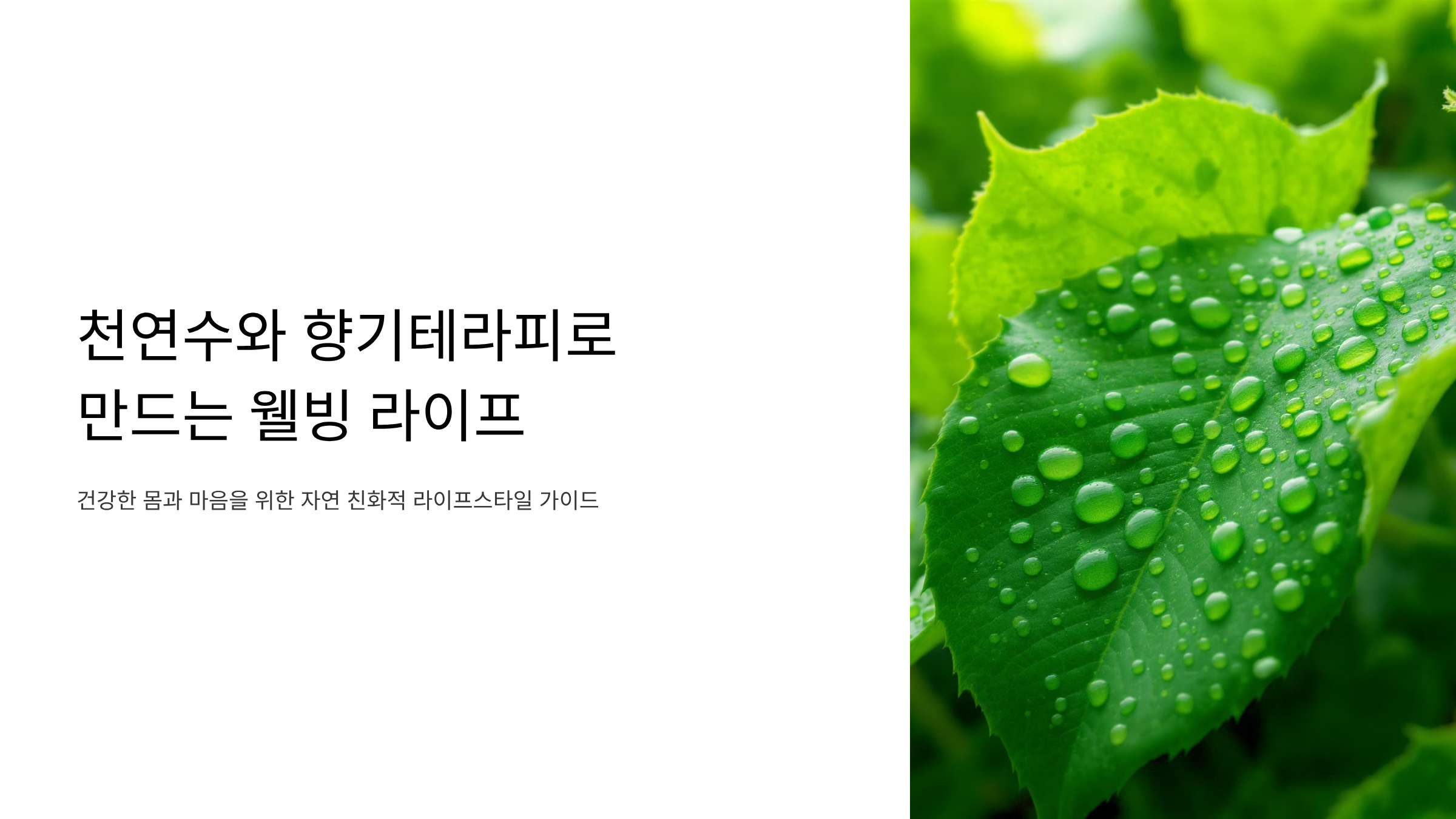 미네랄 천연수와 향기테라피 완벽 가이드