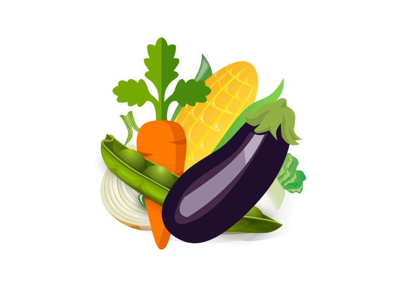 아이스 브레이킹 채소 정답