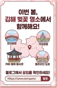 김해 벚꽃 개화시기