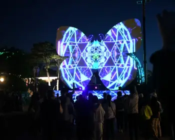 함평 나비축제_14