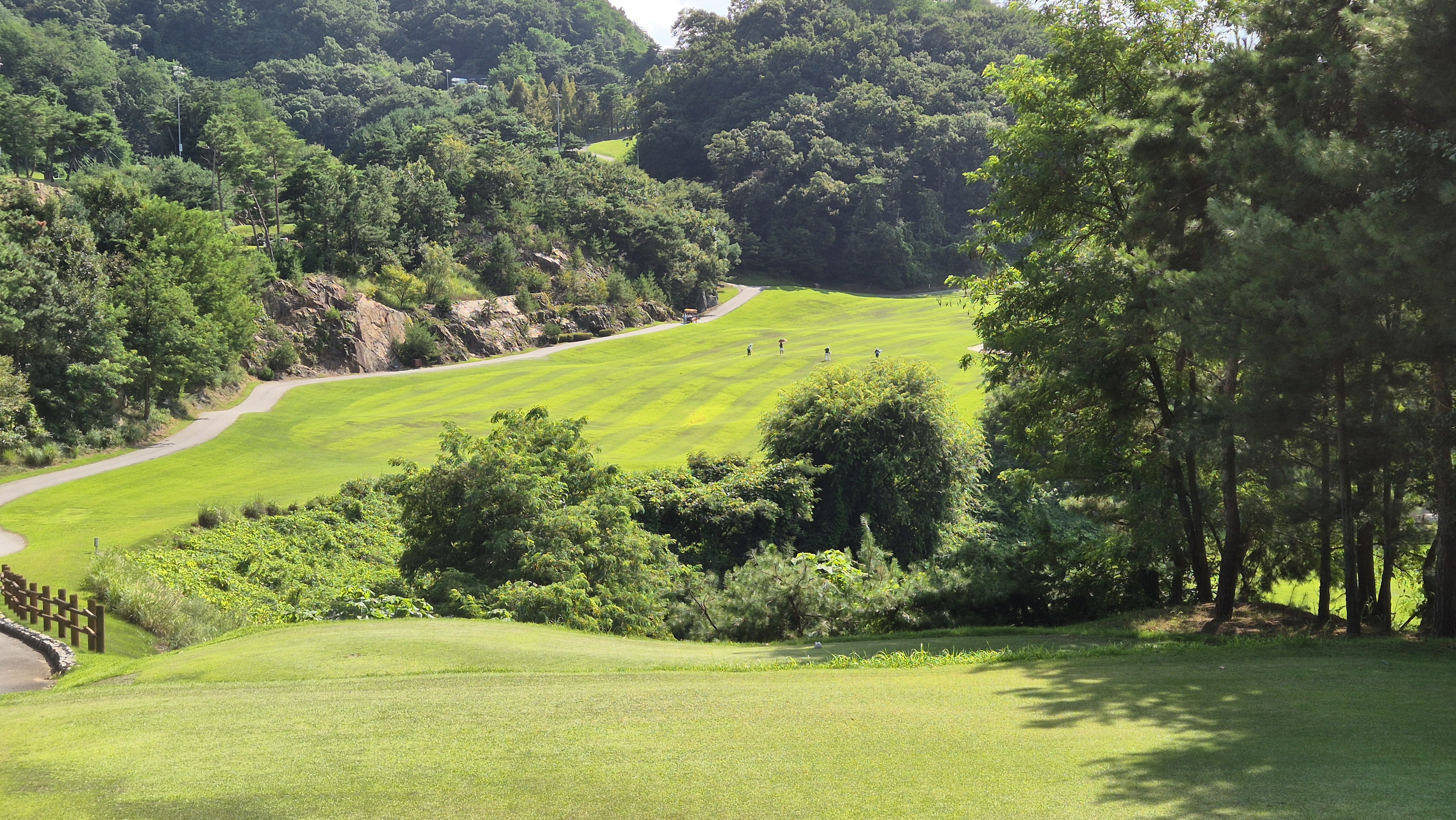대영힐스cc 청-력 코스 사진 및 공략 정보