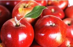 사과초모식초효능