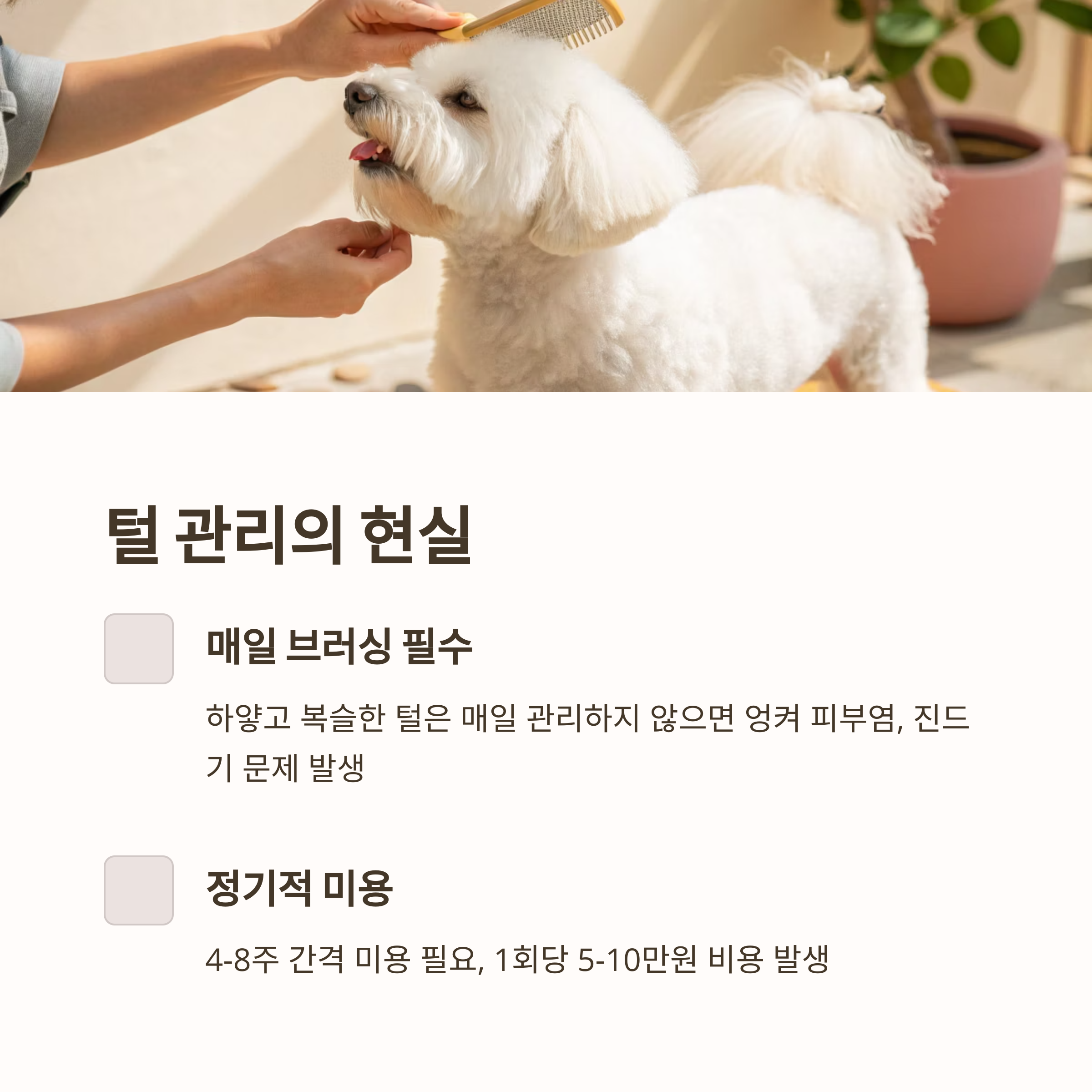 털 관리의 현실