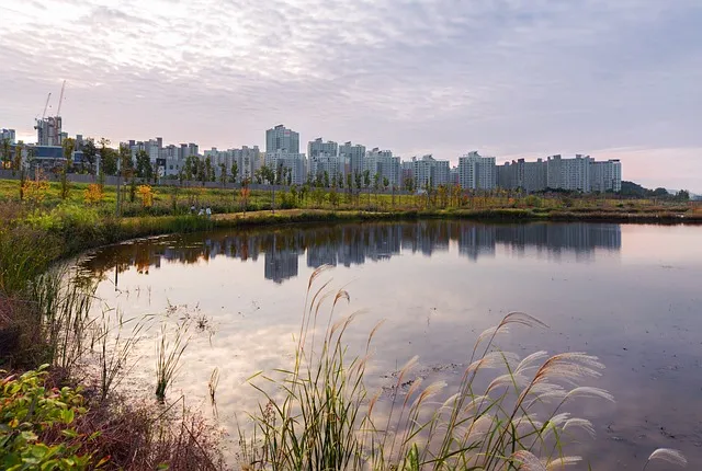 김포 가볼만한곳 베스트10 여행 당일치기 코스_4