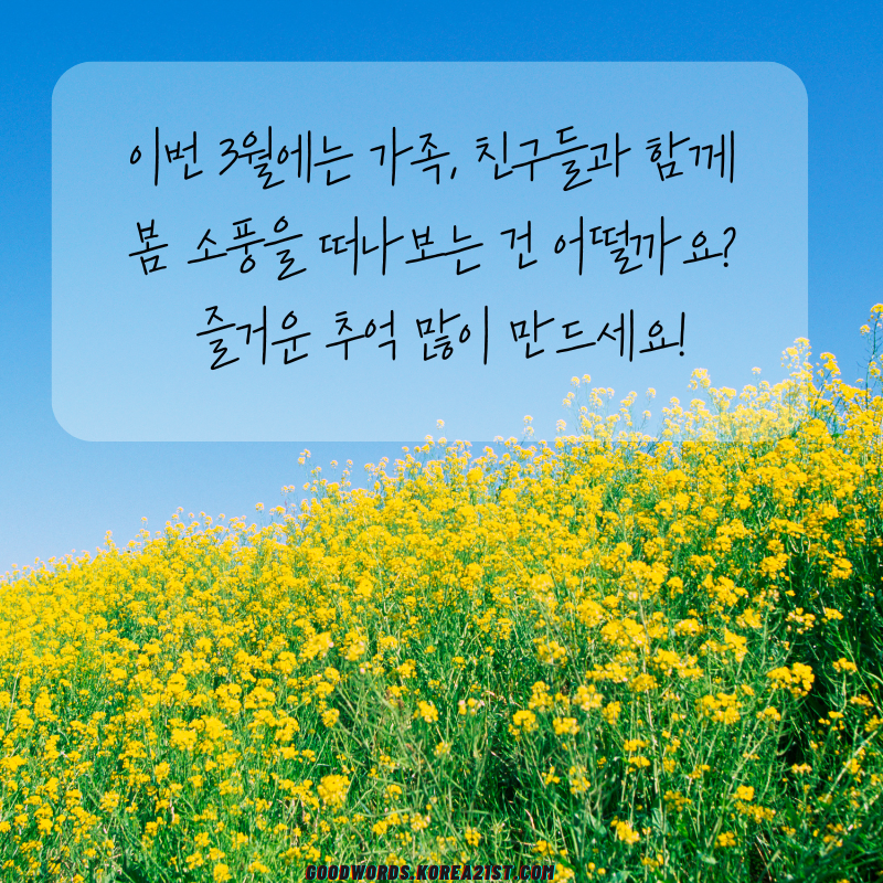 3월 인사말 문구 이미지 모음집