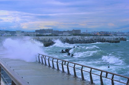 5,000만원까지 피해 보상 가능