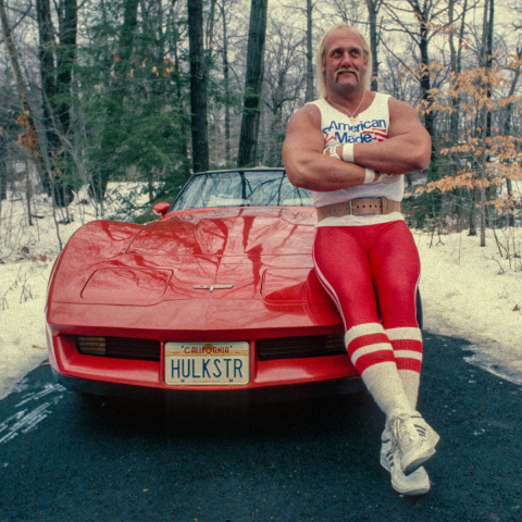 헐크 호건 사망 원인