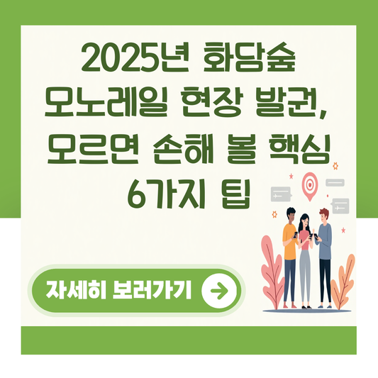 2025년 화담숲 모노레일 현장 발권, 모르면 손해 볼 핵심 6가지 팁 대표 이미지
