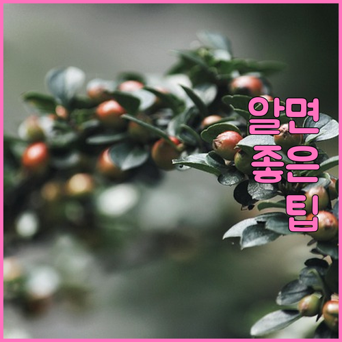 개인회생 인가 전 폐지 A to Z 