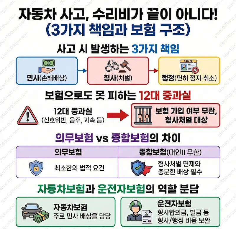 자동차 보험 인포그래픽 1