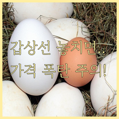 비급여 갑상선 초음파 기관 종별 가격..