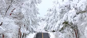 겨울여행 떠나고 싶은 곳 베스트 4. 제주도