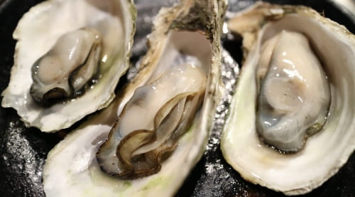 굴-노로바이러스