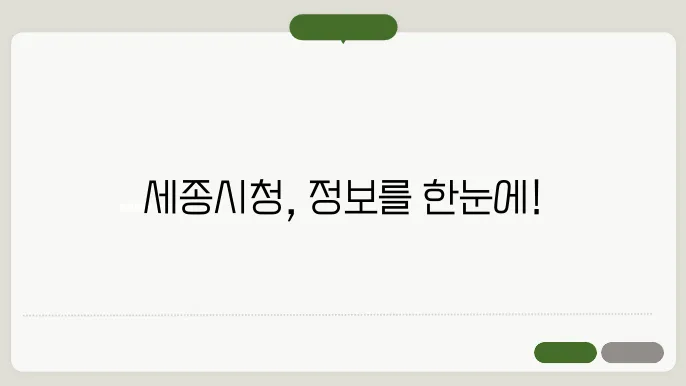 세종시식에 버스조직 안내아요.