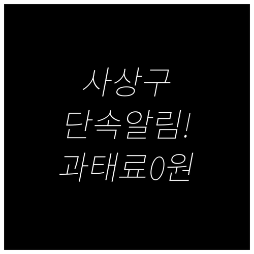 사상구 주정차 단속 알림 서비스로 과..