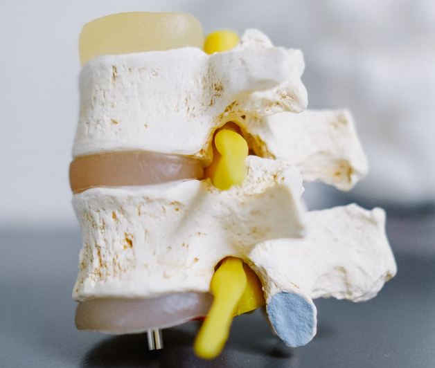 귀리 효능 : 뼈 건강