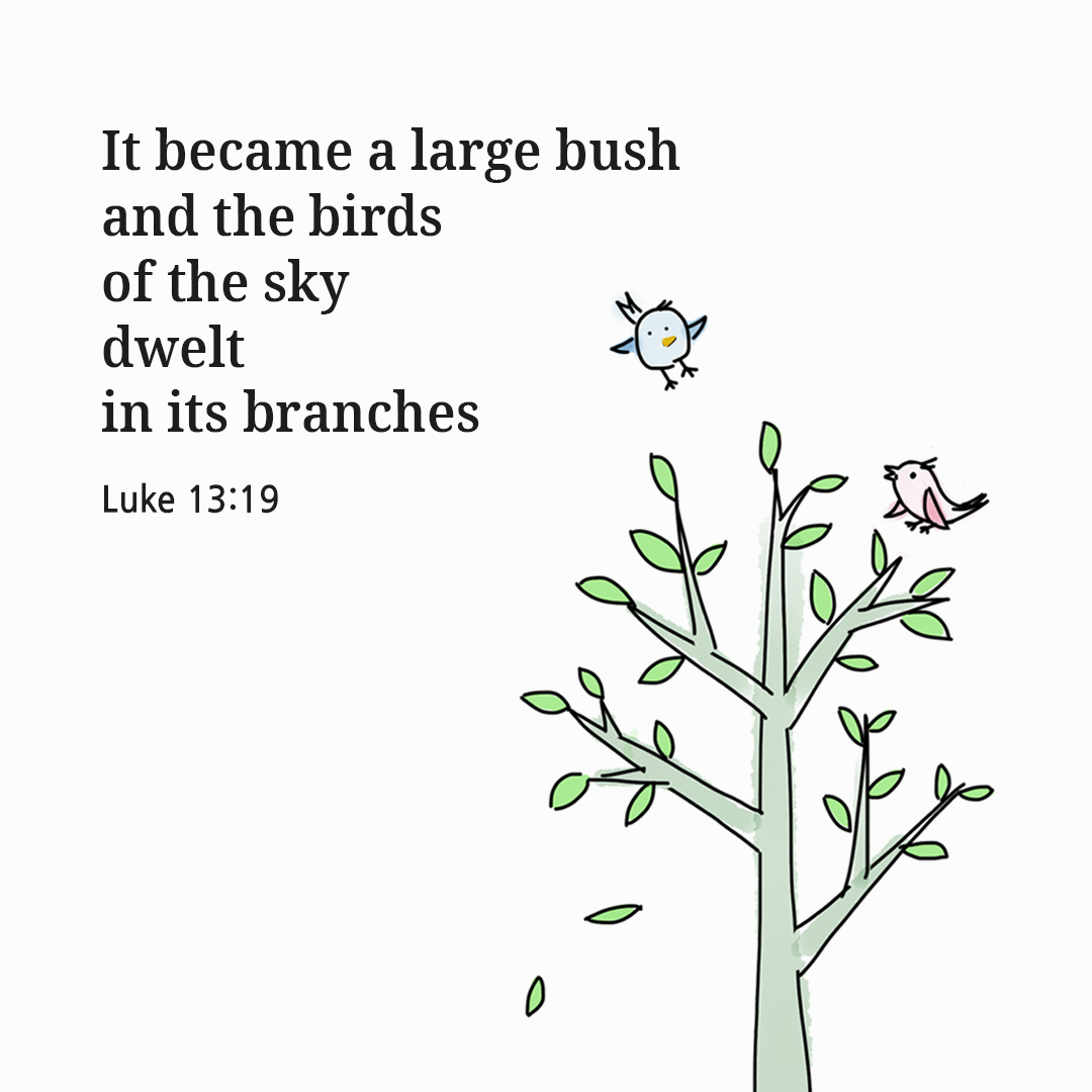 It became a large bush and the birds of the sky dwelt in its branches. (Luke 13:19)