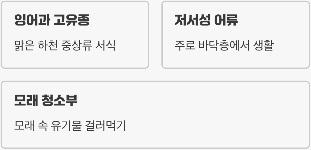 우리 하천의 귀여운 청소부&amp;#44; 모래무지