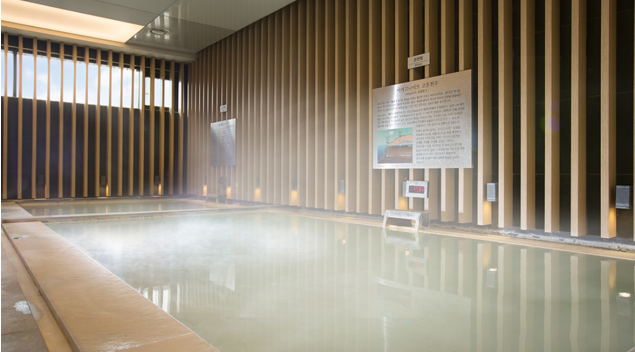 디아넥스 호텔 아라고나이트 온천