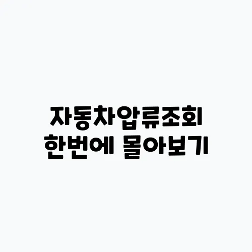 자동차압류조회 한번에 몰아보기