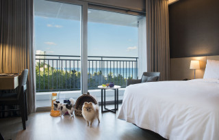 세인트존스호텔