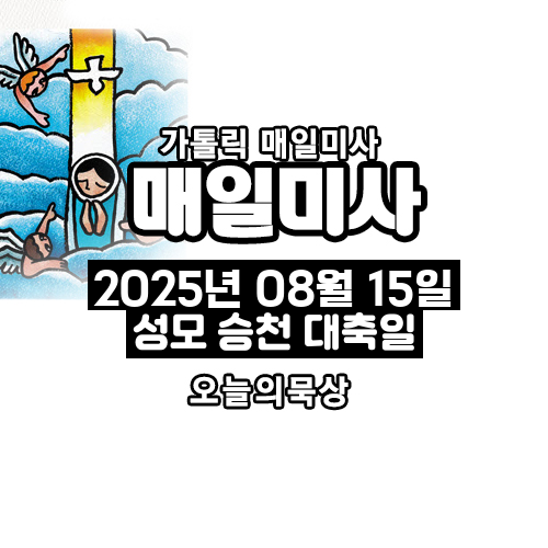 2025년 8월 15일 매일미사 성모 승천 대축일 오늘의 묵상