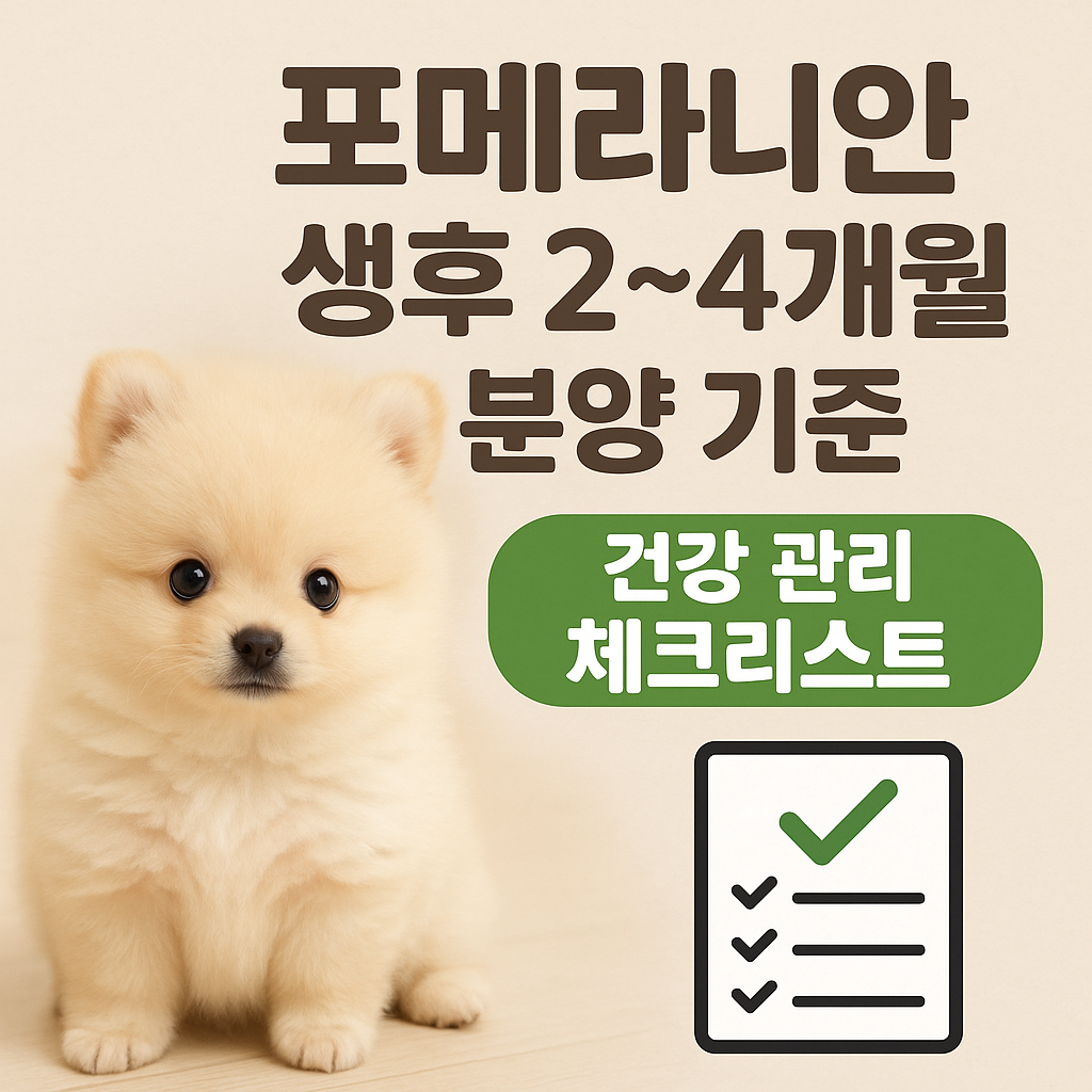 포메라니안