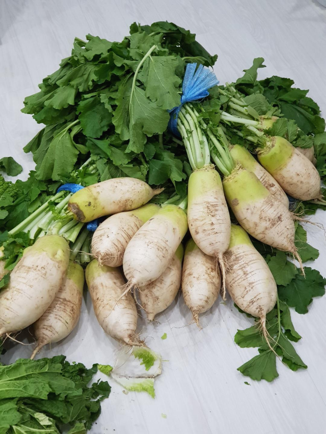 올해김장배추가격