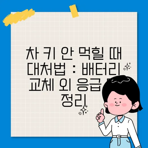차 키 안 먹힐 때 대처법 : 배터리 교체 외 응급 팁 정리