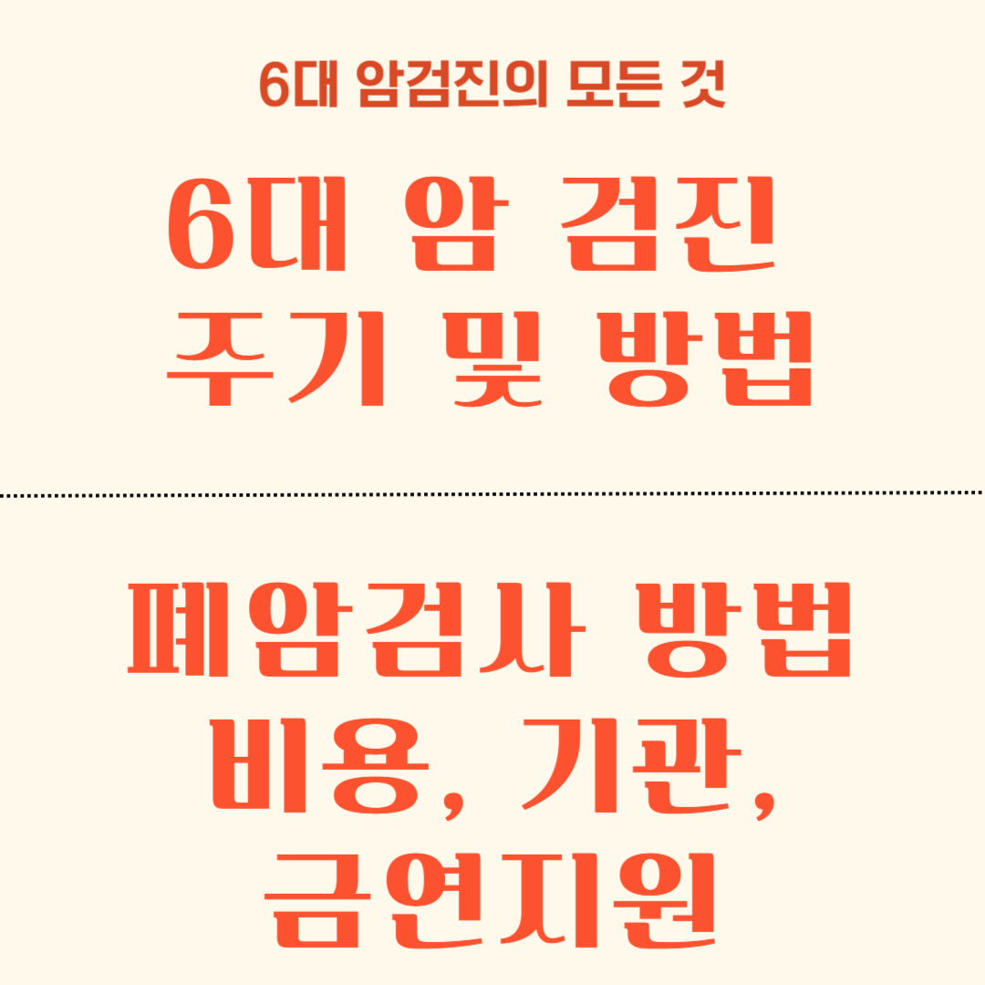 폐암 검사방법, 비용, 기관, 금연지원, 6대 암 검진 주기, 방법