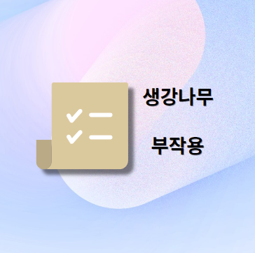 생강나무 부작용 및 주의사항
