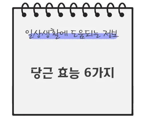 당근-효능-6가지