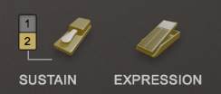 Sustain and Expression