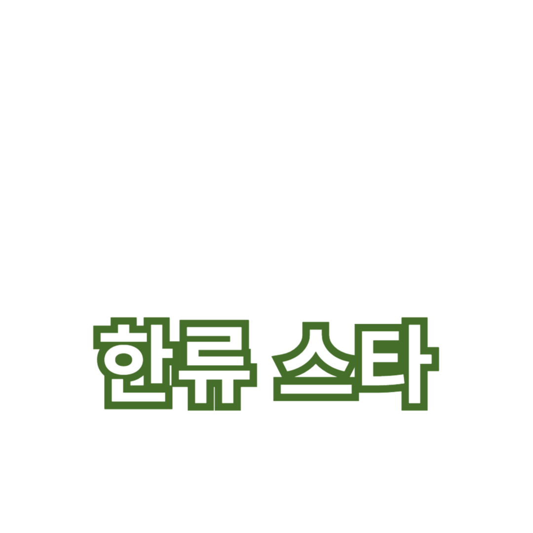 한류 스타와의 인터뷰: 팬들이 꼭 알아야 할 비하인드 스토리