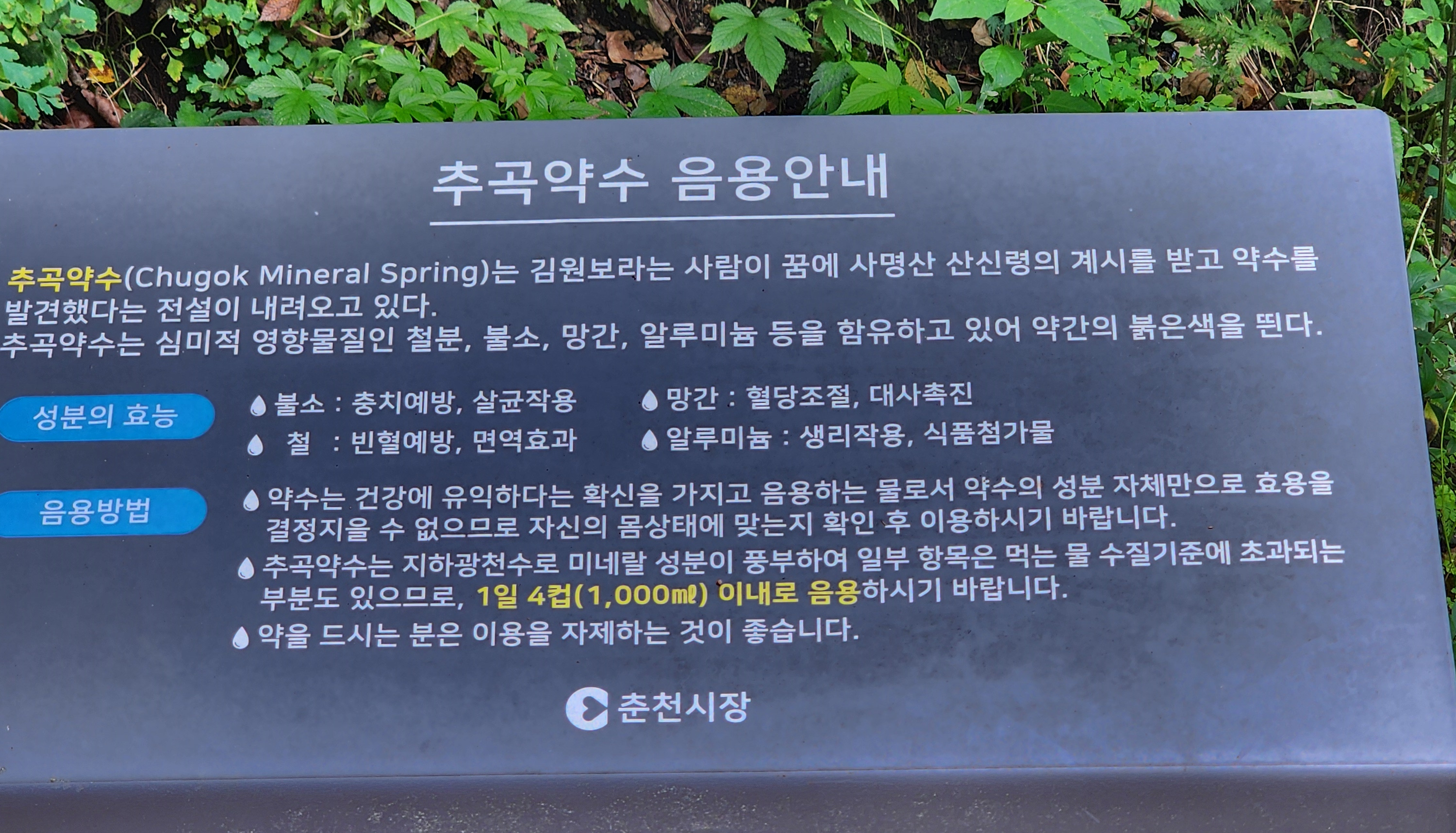 추곡약수-음용안내