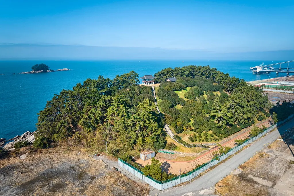 서천 마량리 동백나무 숲 개화 코스_3