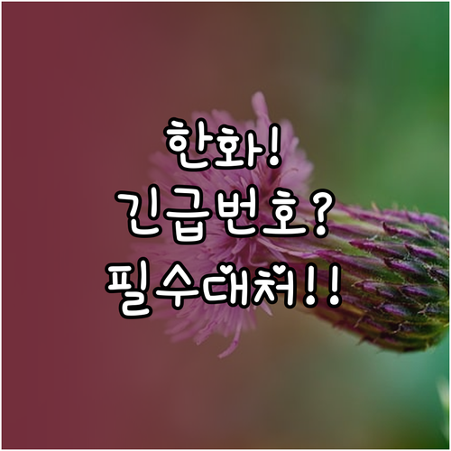 한화다이렉트 긴급출동 전화번호와 현장..