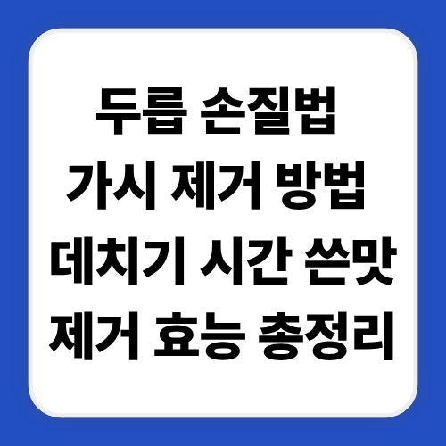 두릅 손질법 가시 제거 방법 데치기 시간 쓴맛제거 꿀팁 효능 총정리