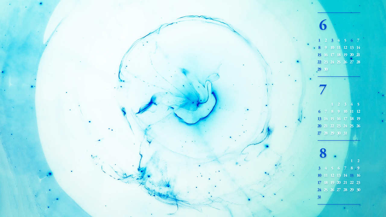 03 투명 해파리 B - 2025년7월 노트북배경화면