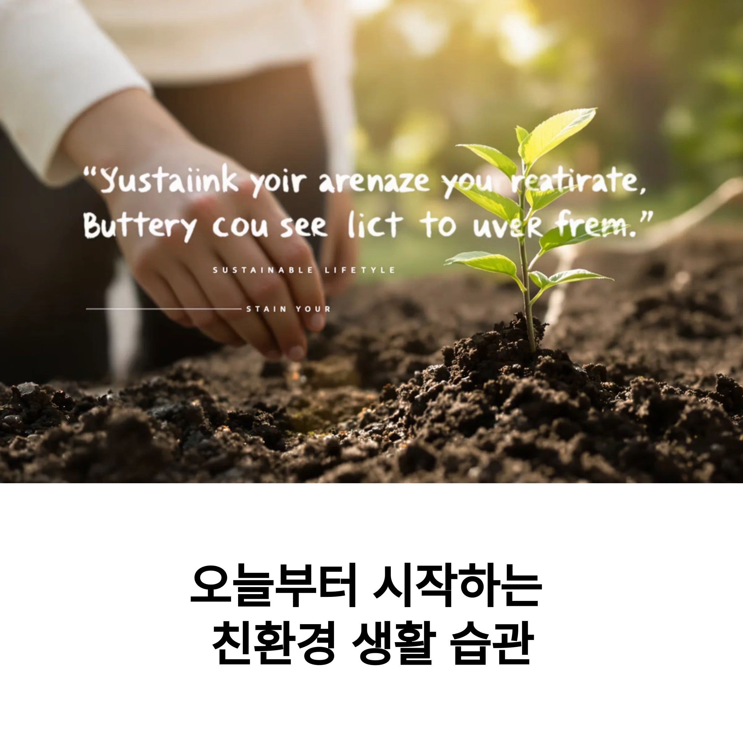 오늘부터 실천하는 친환경 생활, 작지만 큰 변화의 시작